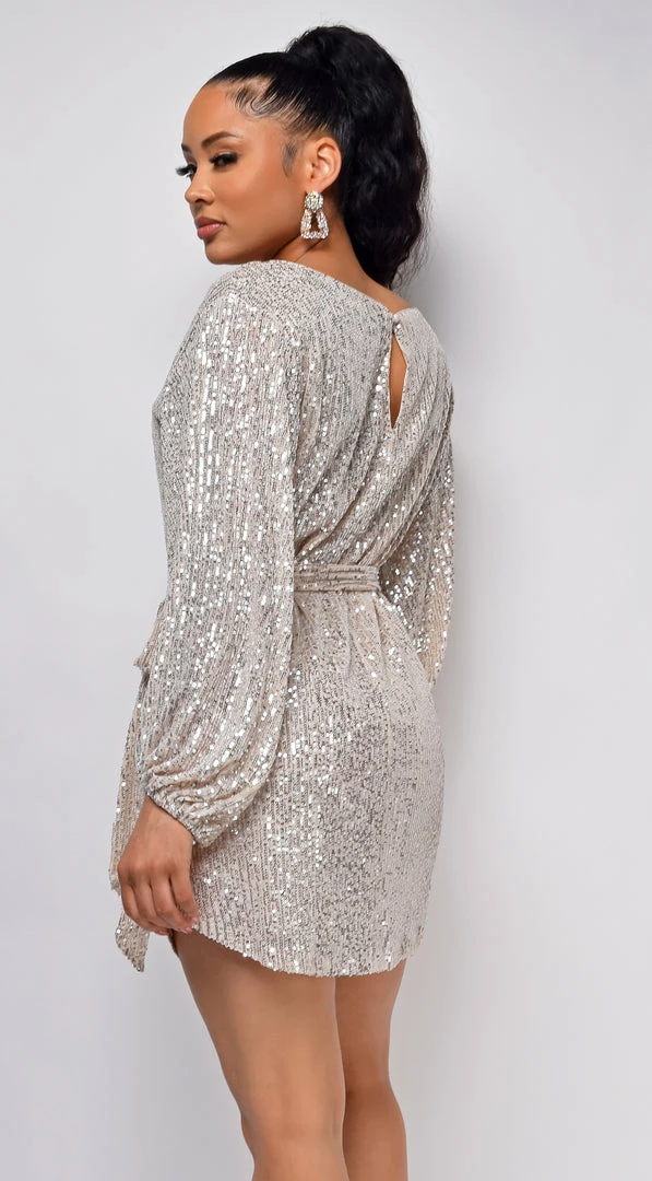 Emprada Tara Champagne Silver Belted Sequin Dress 4 Emprada Tara Champagne Silver Belted Sequin Dress
