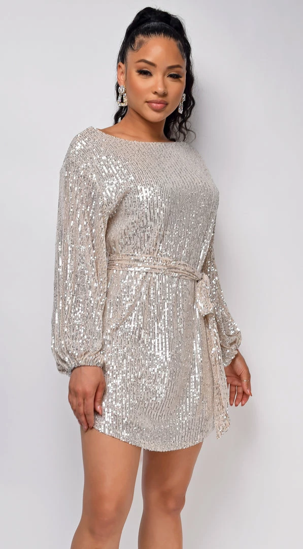 Emprada Tara Champagne Silver Belted Sequin Dress 3 Emprada Tara Champagne Silver Belted Sequin Dress