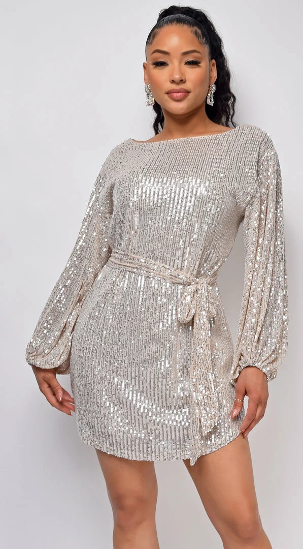 Emprada Tara Champagne Silver Belted Sequin Dress 2 Emprada Tara Champagne Silver Belted Sequin Dress