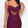 Emprada Dresses Carmen Plum Purple Bustier Lace Detail Dress